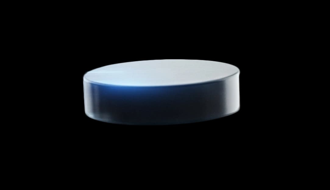 Hockey puck